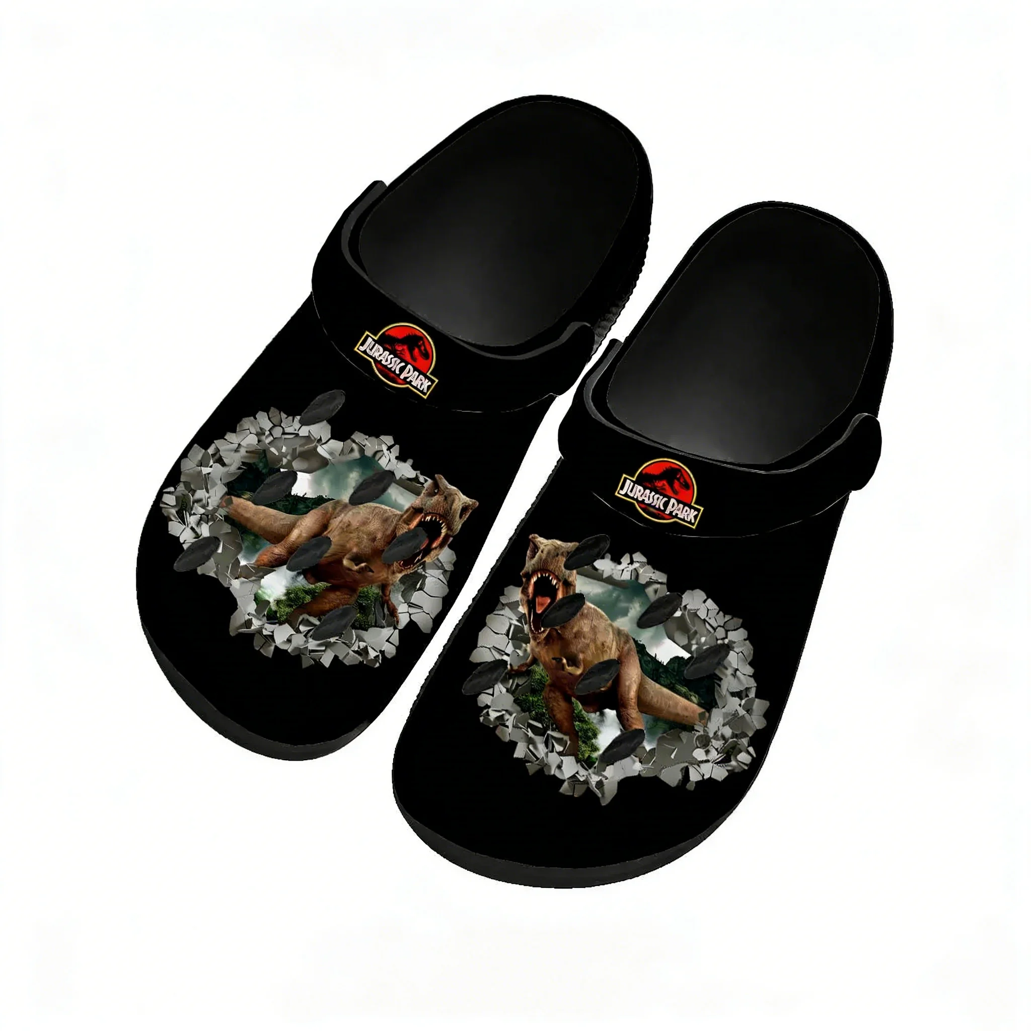 Jurassic Park Water Shoes Men  - Home Bathroom Lights review and price