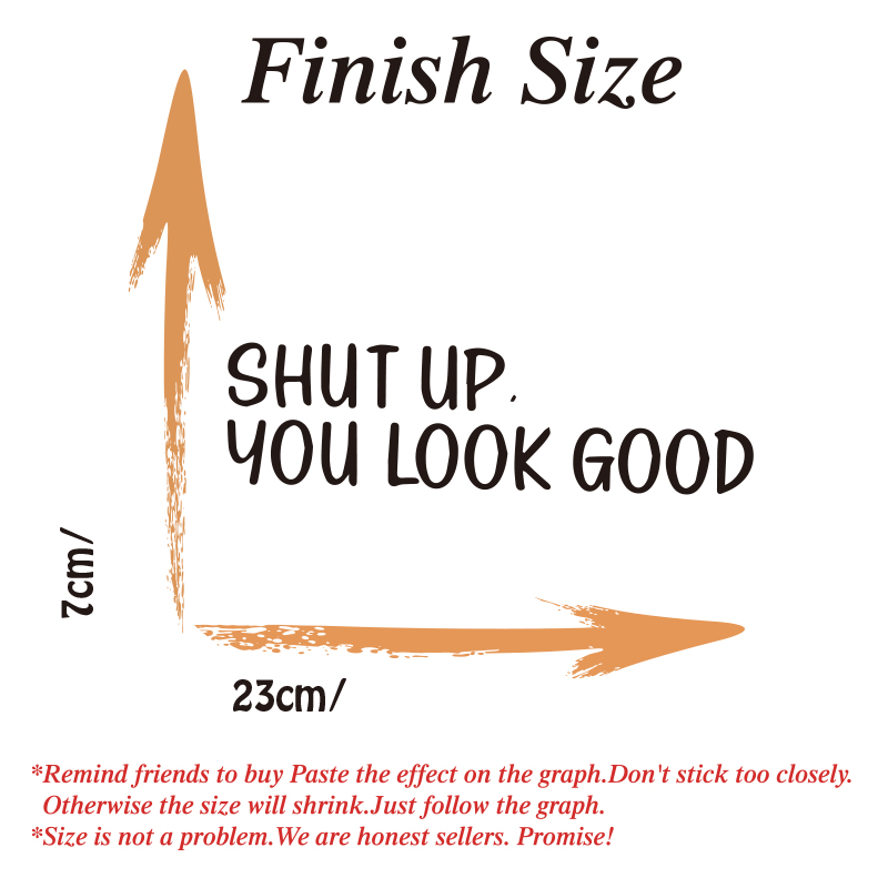 Sh*t UP You Look Good Quote Mi - Home Goods Bathroom Mirrors review and price